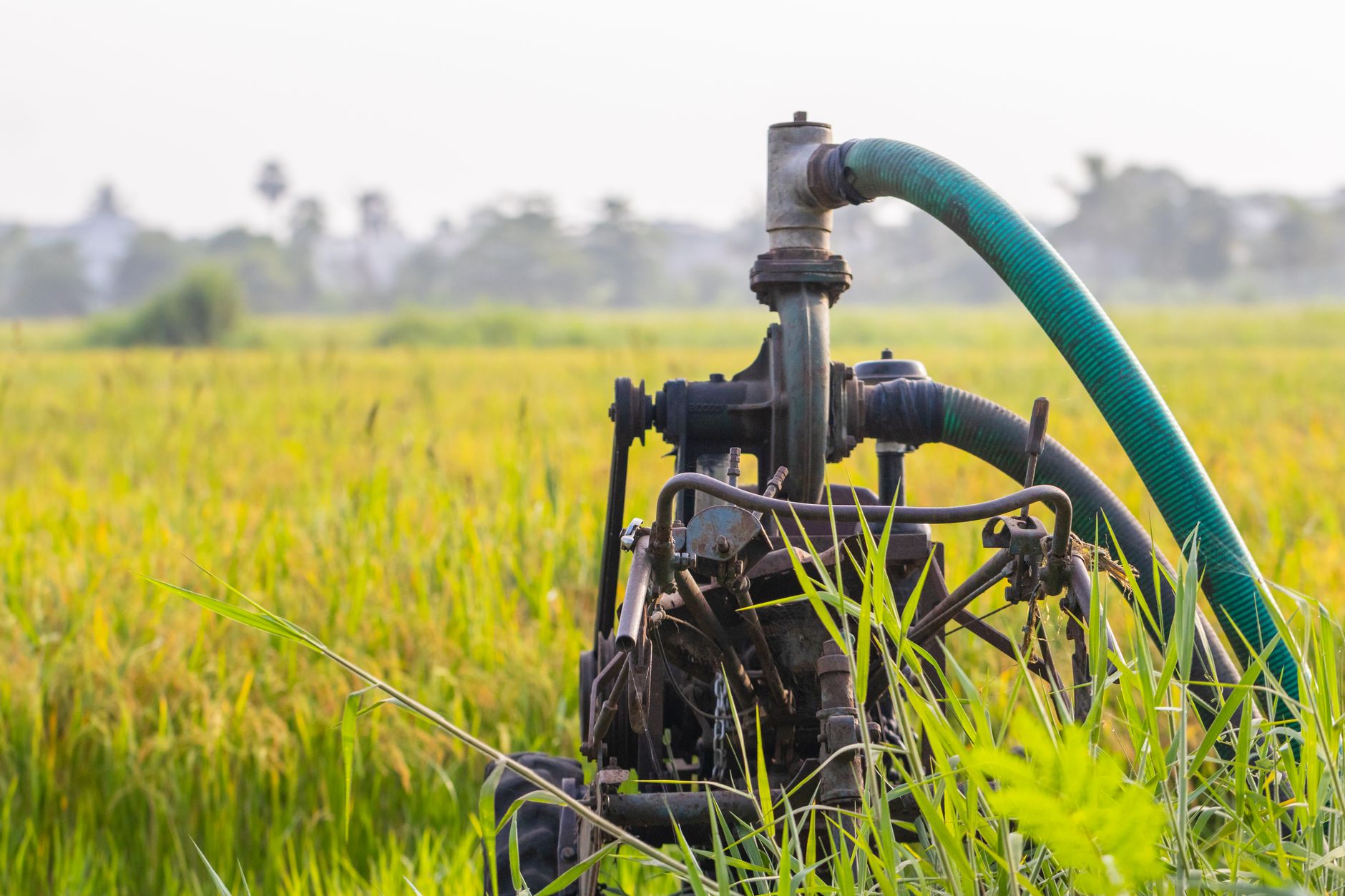 Agriculture & Food Production